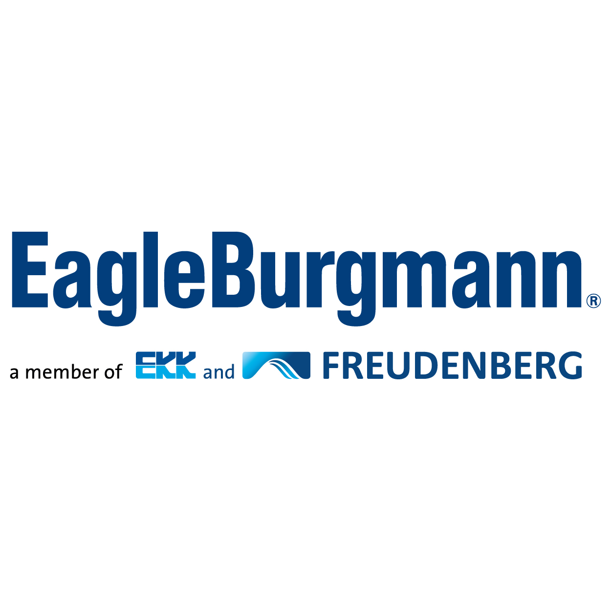 Eagle Burgmann